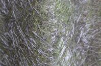 Bondleigh fibreglass roof work